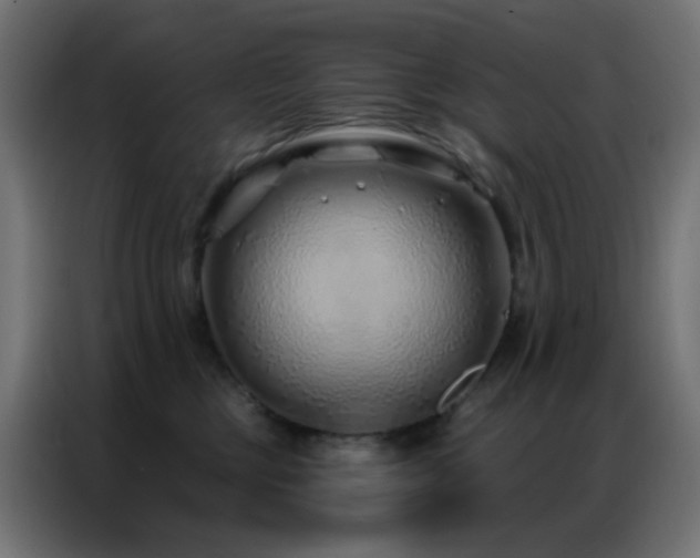 X0000086930377200704161429