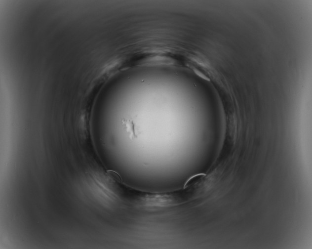 X0000086930378200704161429