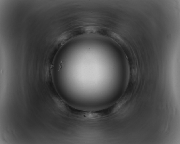 X0000086930379200704161429