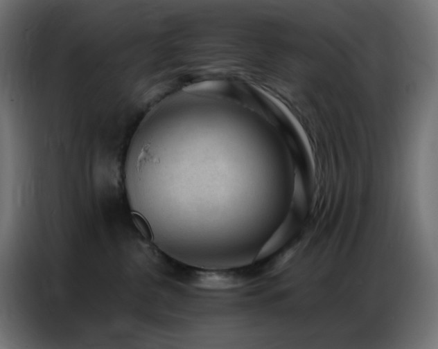 X0000086930380200704161429