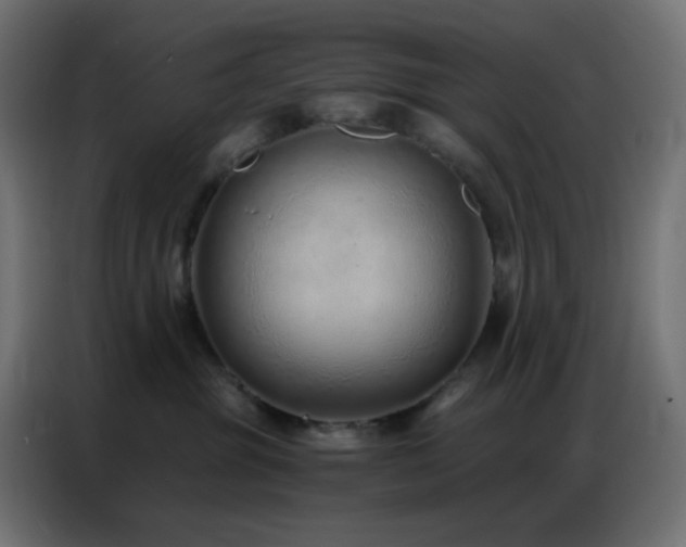 X0000086930381200704161429