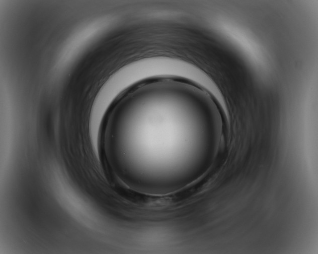 X0000086930382200704161429