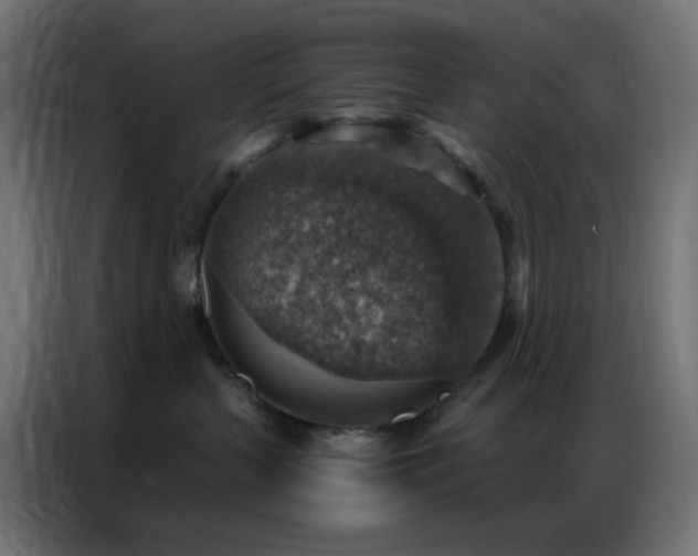 X0000086930383200704161429