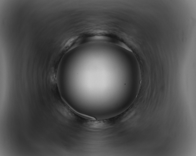 X0000086930384200704161429