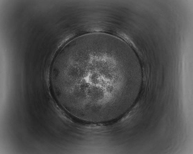 X0000086930386200704161429