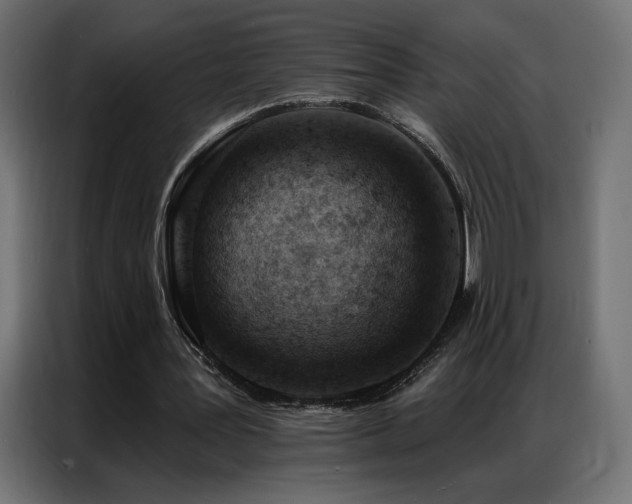 X0000086930387200704161429