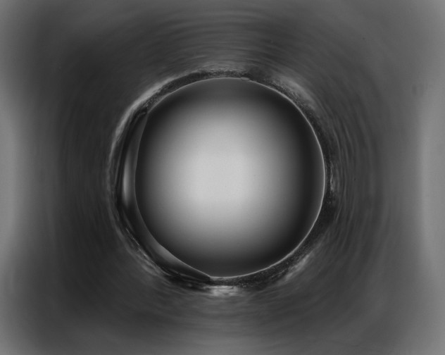 X0000086930388200704161429