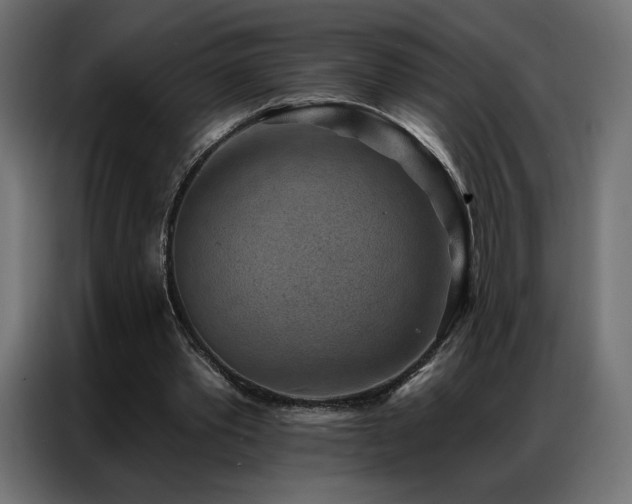 X0000086930389200704161429