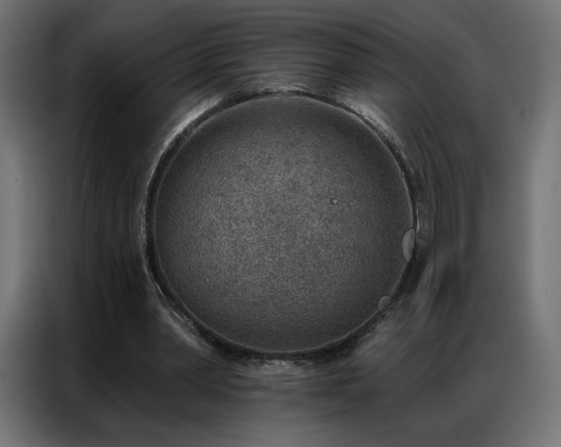 X0000086930390200704161429