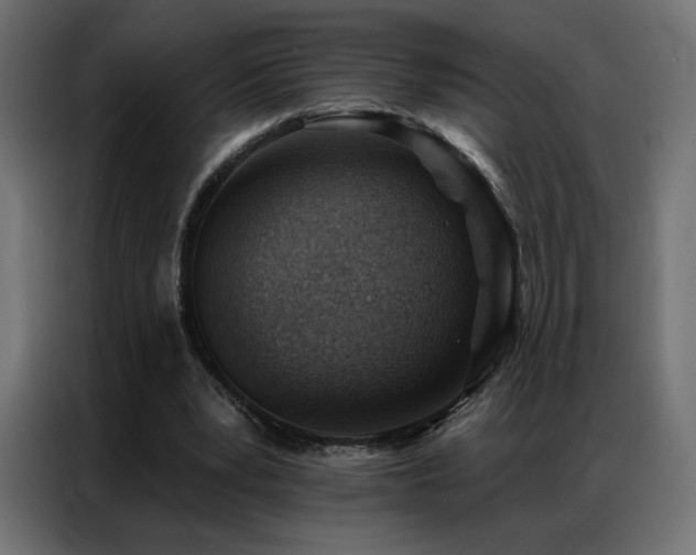 X0000086930391200704161429