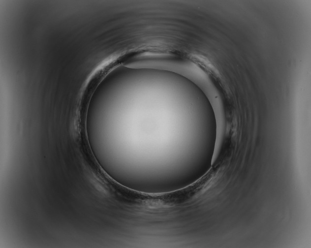 X0000086930392200704161429