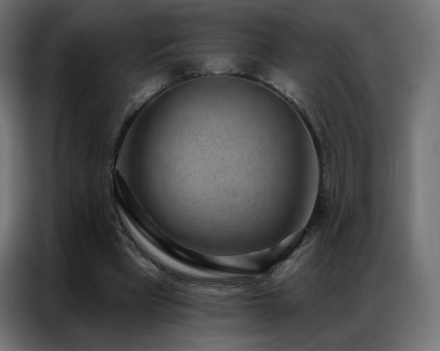 X0000086930393200704161429