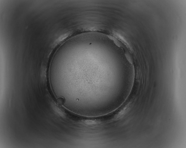 X0000086930394200704161429