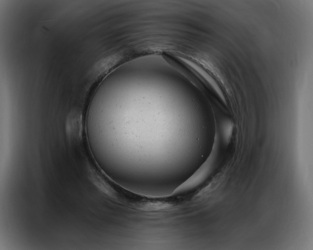 X0000086930397200704161429