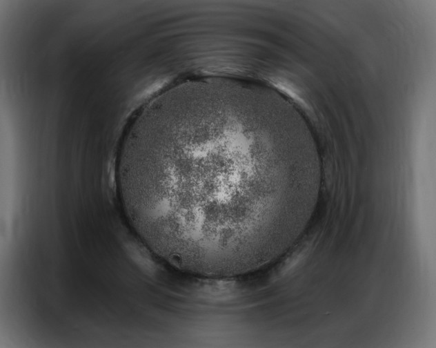 X0000086930398200704161429