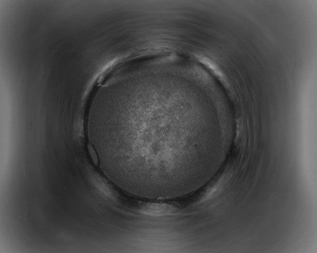 X0000086930399200704161429