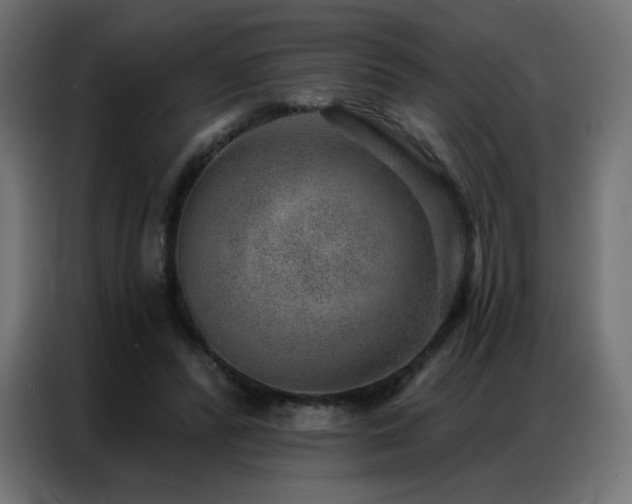 X0000086930400200704161429