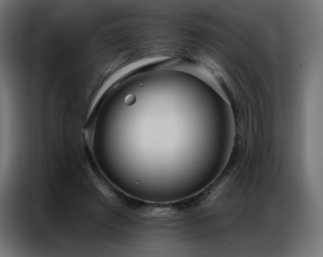 X0000086930401200704161429