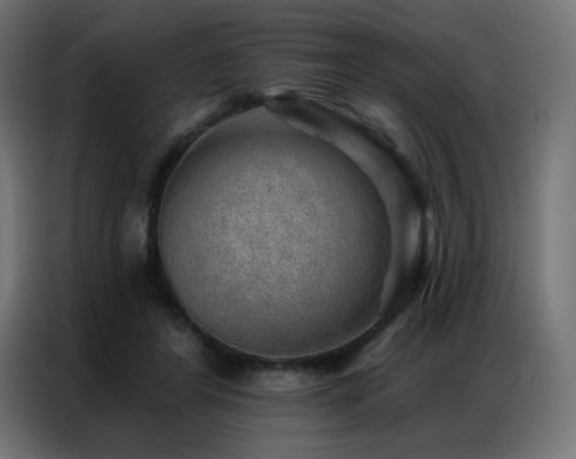 X0000086930404200704161428