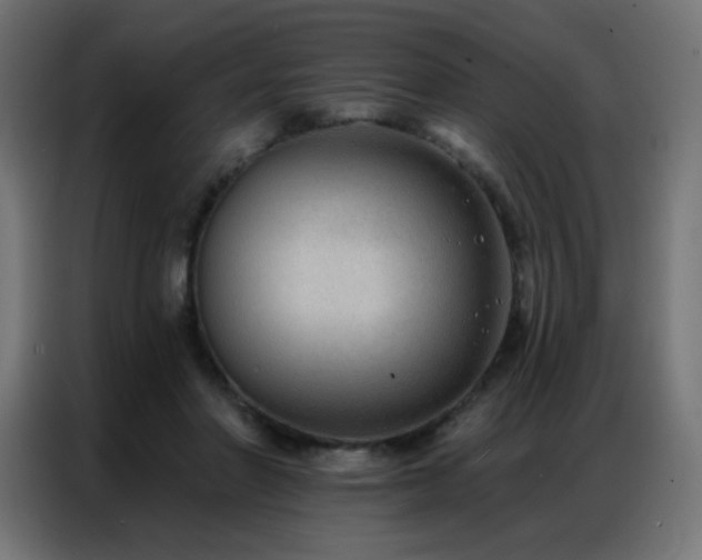 X0000086930406200704161428