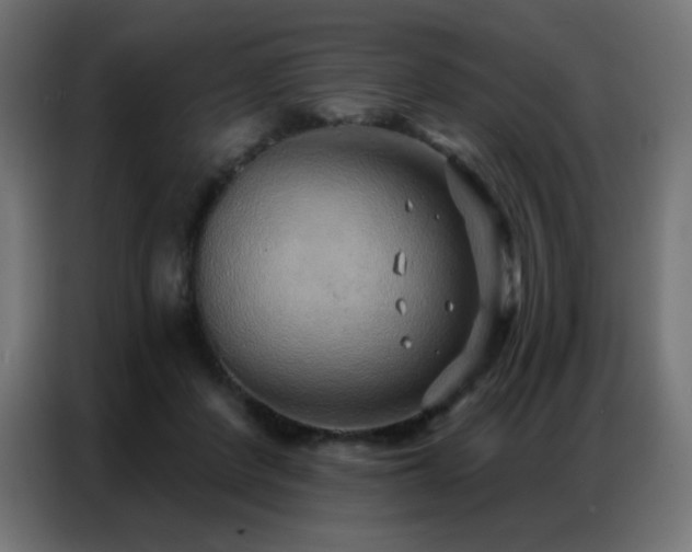 X0000086930408200704161428