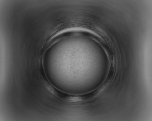 X0000086930409200704161428