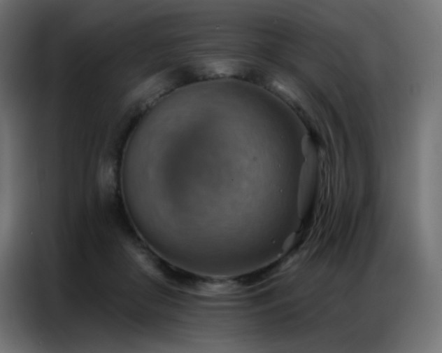 X0000086930410200704161428