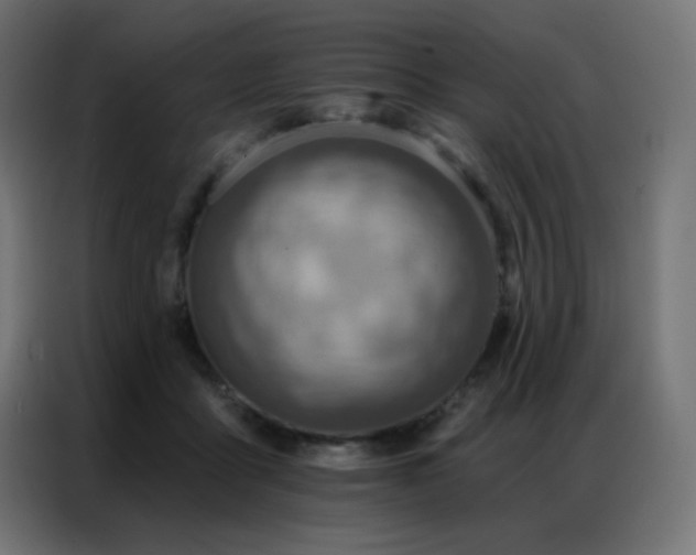 X0000086930411200704161428