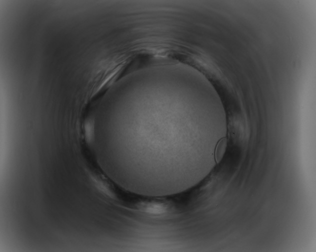 X0000086930412200704161428