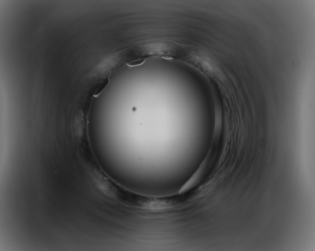 X0000086930413200704161428