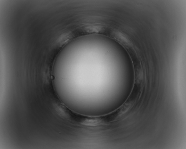 X0000086930414200704161428