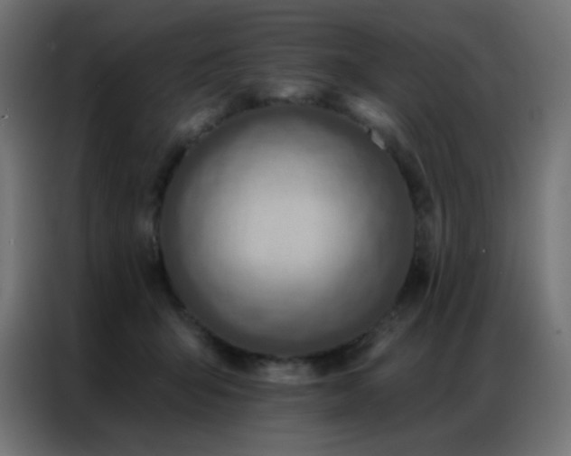 X0000086930415200704161428