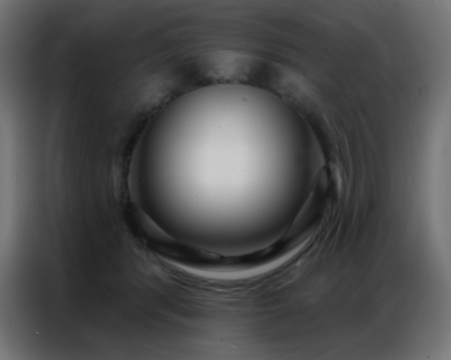 X0000086930416200704161428