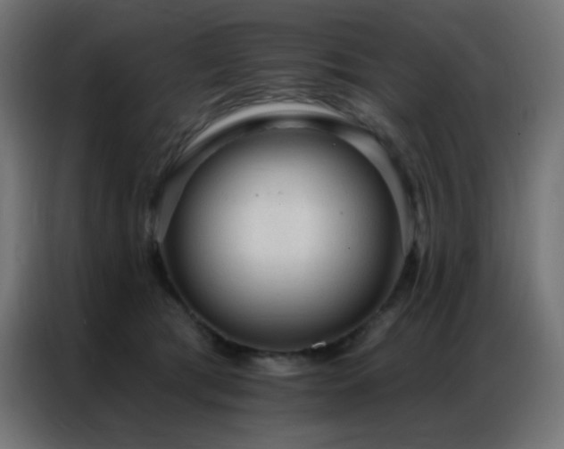 X0000086930417200704161428