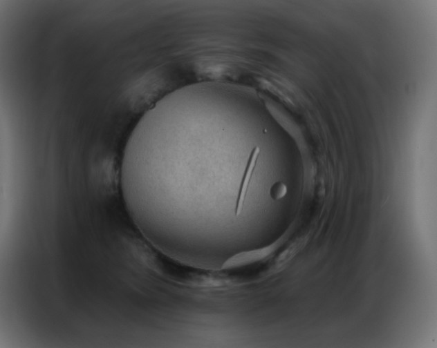 X0000086930420200704161428