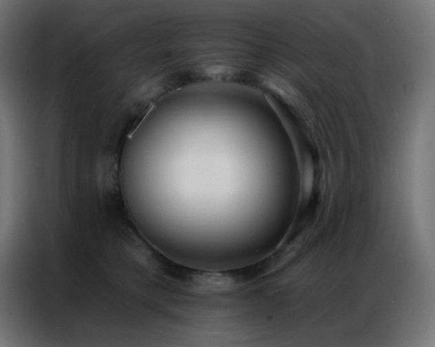 X0000086930421200704161428