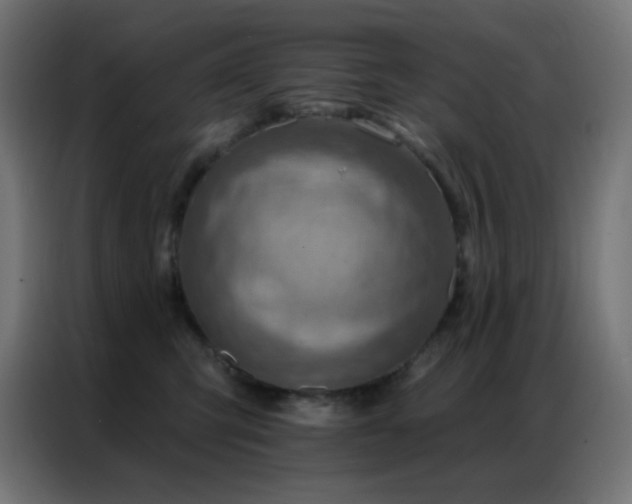 X0000086930423200704161428