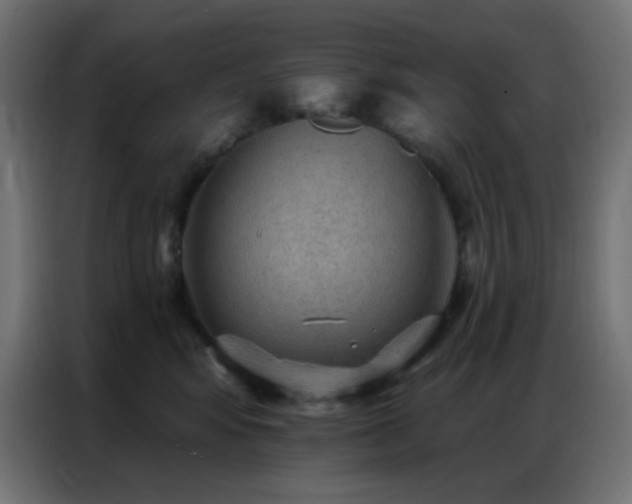 X0000086930424200704161428