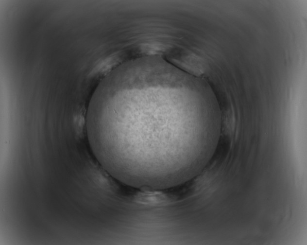 X0000086930427200704161428