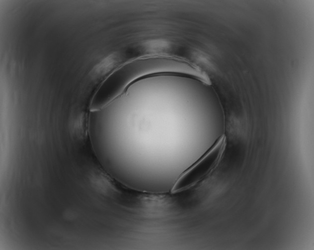 X0000086930428200704161428