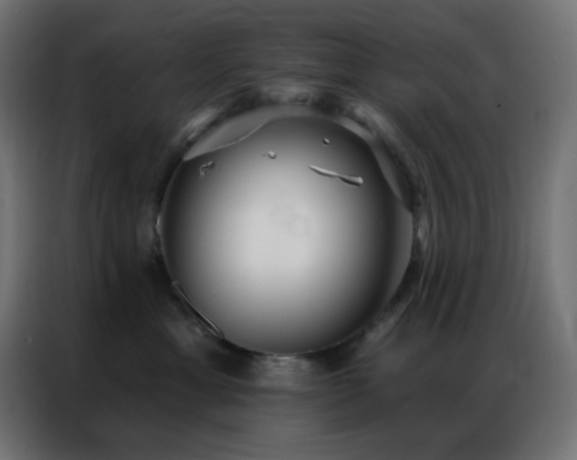 X0000086930429200704161428