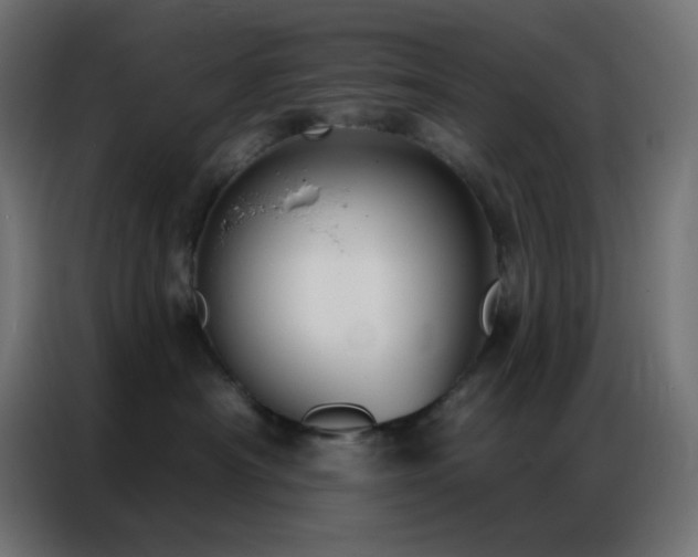 X0000086930430200704161428