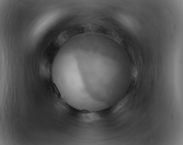 X0000086930431200704161428