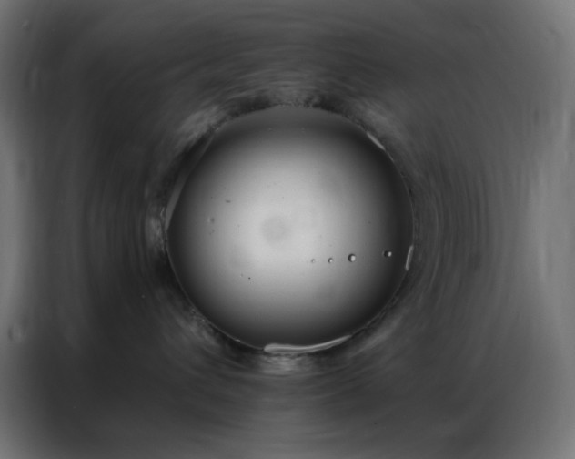 X0000086930432200704161428