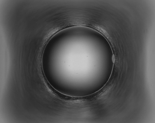 X0000086930433200704161427