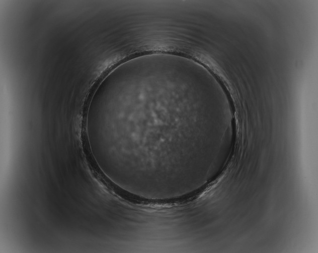 X0000086930434200704161427