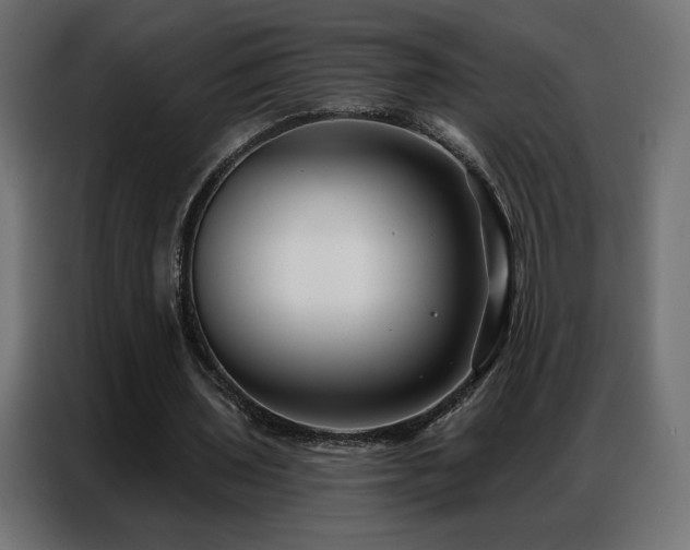 X0000086930435200704161427