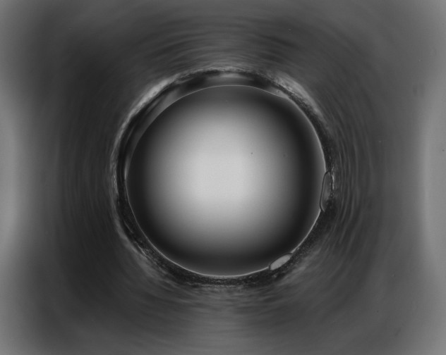 X0000086930436200704161427