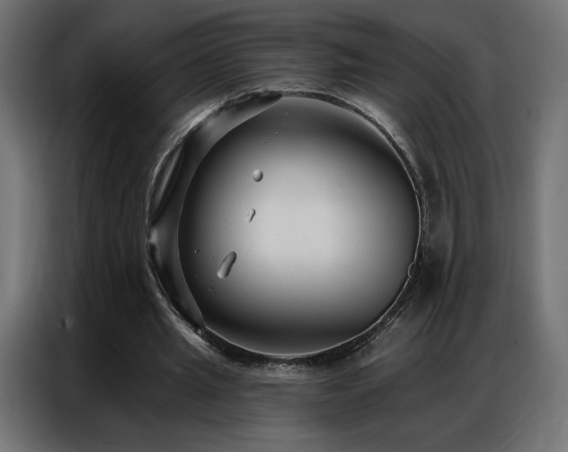 X0000086930437200704161427