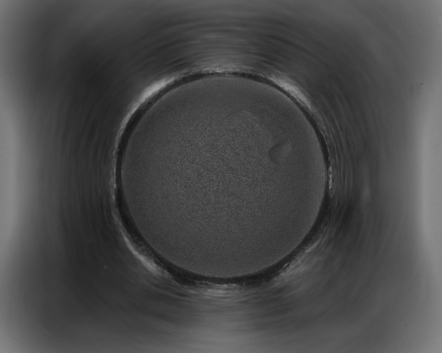 X0000086930438200704161427